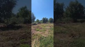 Продажа участка Ростовская область (Казачий Ерик)