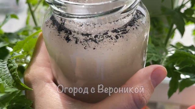 УЖЕ ВСЯ ДЕРЕВНЯ УЗНАЛА ЭТОТ СЕКРЕТ: СЛАБАЯ РАССАДА ВМИГ СТАНЕТ ЖИРНОЙ И КРЕПЕНЬКОЙ! смотреть онлайн