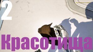 Прохождение игры The Talos Principle 2 №2 - Красотища