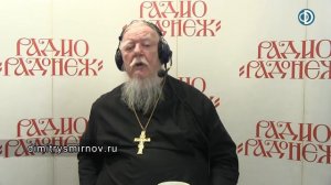 'Возьмите иго Мое на себя' (Мф. 11_29). Как это сделать? Прот. Дмитрий Смирнов