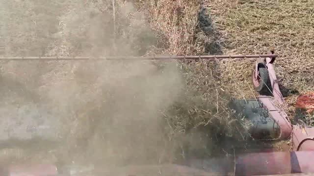 Палессе GS812 обмолот валков после дождей смотреть онлайн