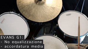 Pelli Evans G1 vs Evans Calftone '56 | Test e confronto | Scopri la differenza di timbro