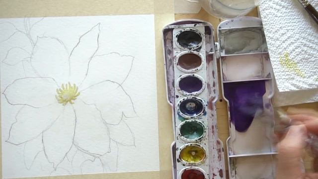 How to draw and paint a Clematis in watercolor - beginner tutorial (and how to use masking fluid) смотреть онлайн
