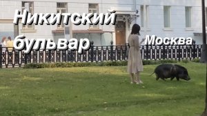 FPV Прогулка 4K / Никитский Бульвар / Дом Гоголя / Москва своими глазами / FPV walking tour / Moscow