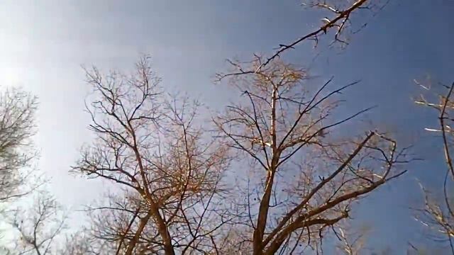 Осенний блюз.Autumn blues.