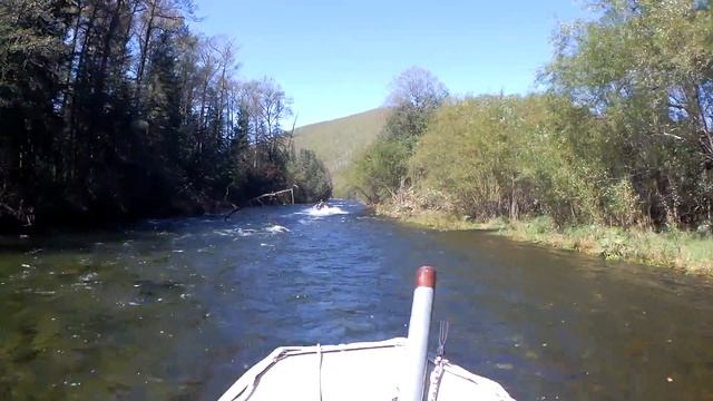 Анюй выше Зауров высота 850 метров