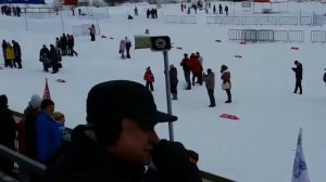 Дёмино. Гонки на собачих упряжках и скиджоринг. Demino. Skijoring.