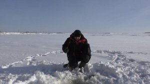 Вечерний клёв на Иртыше!