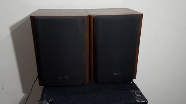 Aiwa SX-NM820 Shelf Speakers How To Use Price And Connection IN HINDI