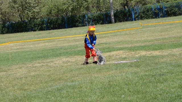 Дети - 2 место - Салий Саша и цвергшнауцер Катя смотреть онлайн