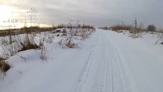 Гуляем с Сэмом. Влог. Часть-2.#хаски,#сибирскийхаски,#собаки. смотреть онлайн