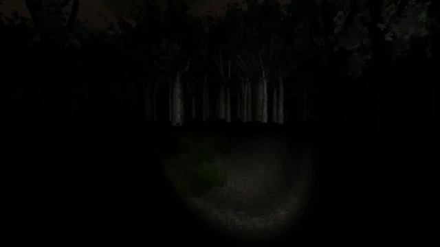 Slender(Я не понял откуда!).avi смотреть онлайн