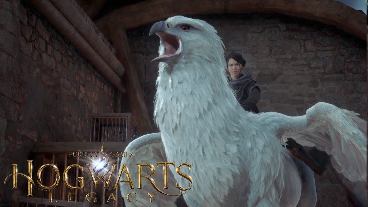 ГИПОГРИФФА ДОБАВИЛИ В ХОГВАРТС! САМОЕ КРАСИВОЕ МАГИЧЕСКОЕ ЖИВОТНОЕ В ХОГВАРТС НАСЛЕДИЕ (HOGWARTS) смотреть онлайн