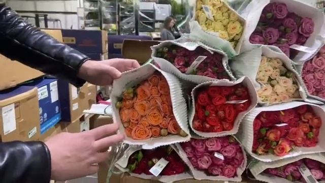 Обзор кустовой розы от плантации Red Lands | Кенийская кустовая роза оптом. Цветы оптом с плантаций