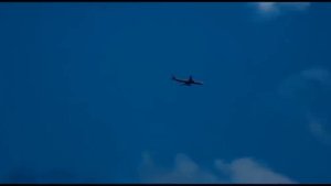 Beliy x DioeR - Рингтоны ● EB cover