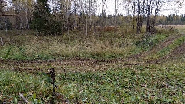 Покатушки в лес ЗИЛ 131 смотреть онлайн