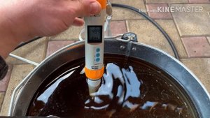 Первая листовая подкормка клубники. Весна 2020г.