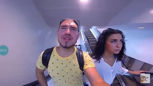 Хаски и маламут Роки Лекси и майк