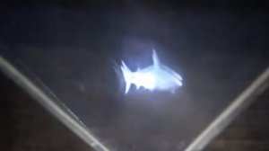 Голограмма -   это просто!