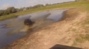 ТОП САМЫХ БОЛЬШИХ  5 животных обитающих в АФРИКЕ