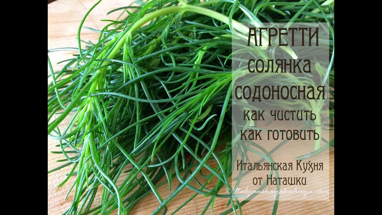АГРЕТТИ?СОЛЯНКА СОДОНОСНАЯ как чистить и готовить #гарнир ?#ИТАЛЬЯНСКАЯ_КУХНЯ ОТ НАТАШКИ?