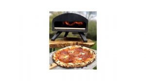 TOP 5 BEST Pizza ovens [2022]