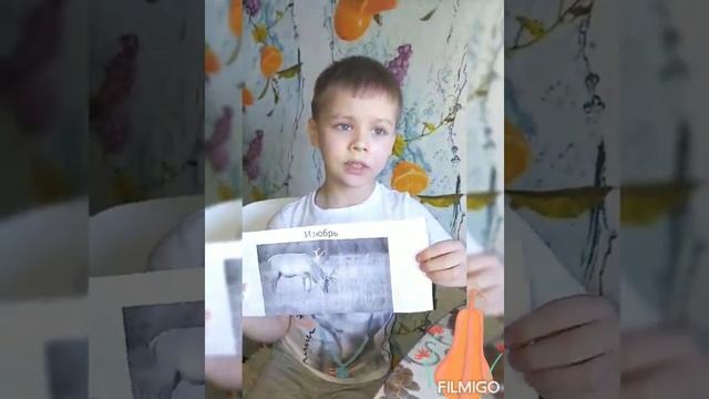 Дикие животные Забайкальского края МБДОУ N77 Творческое объединение "Радужный мир пластики" смотреть онлайн