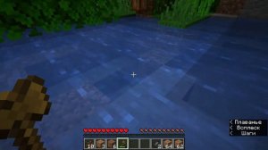 Minecraft 1 16 4   Одиночная игра 2020 11 14 17 58 38