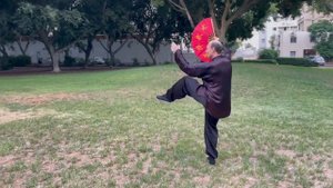 Форма тайцзицюань с веером (Tai Chi Fan Form)