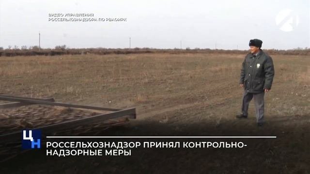 Россельхознадзор принял контрольно-надзорные меры