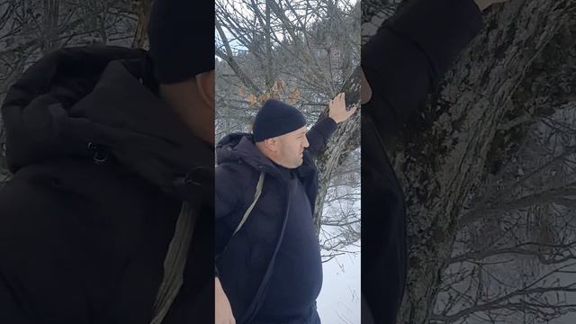 Поход в горы #Горы_Дагестана_тур05 #дагестан #тлярата #экскурсия #путешествие #зима #январь2024
