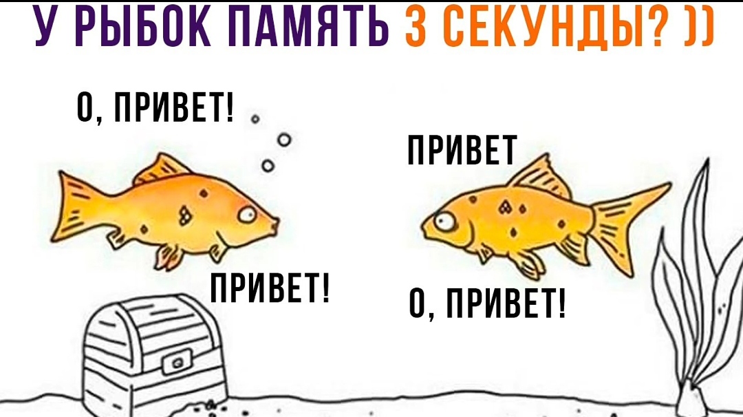 Лютые приколы