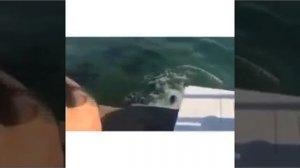 Мбэнд летние приколы на море 2015
