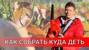 КАК СОБРАТЬ И КУДА ДЕТЬ ЛИСТВУ ОСЕНЬЮ