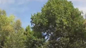 Зай, зай, зай! Торопыги и Водятлы