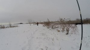 Ловля певчих птиц. Тест китайской ОС. Щеглы. (goldfinch catching)