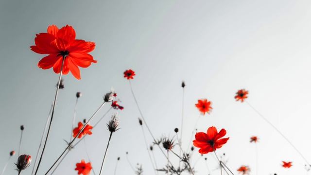 Azan (eng) Азан (rus) (aze) أَذَان смотреть онлайн