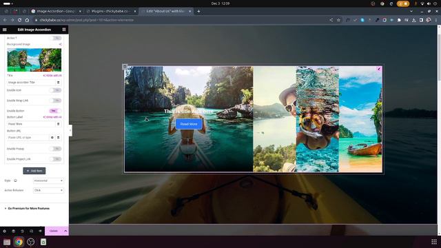 Elementor Tutorial: Create an Image Accordion for Free | Engage Your Visitors