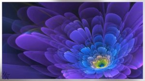 С Днем рождения, Марина Красивое поздравление для всех Марин Видео открытка