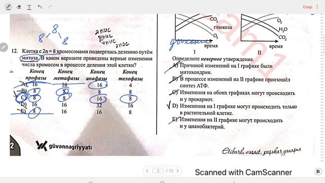 Испытательный экзамен/Гювен/11 класс/Биология/4 группа/ 27.11.2022 год/ смотреть онлайн