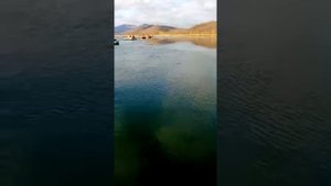 Корюшка . Камчатка . Озеро Вилюй .