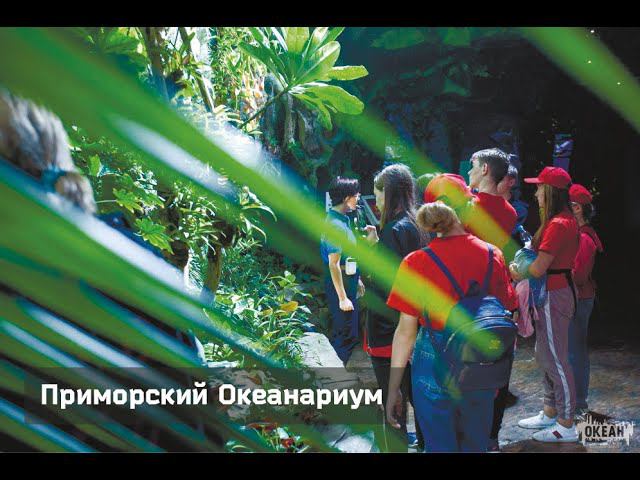 Школьники из Иркутской области посетили с экскурсией Приморский океанариум