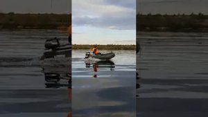 VID 20200823 WA0047 Стингрей 320 DF 6.