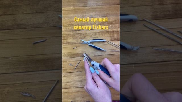 Лучший секатор для нашего хобби