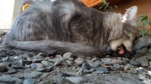 Испортить аппетит