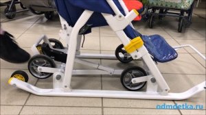 Санки-коляска Nika "Disney baby 2"