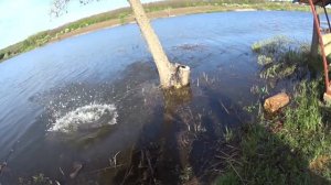 Рыбацкие будни Головищинского пруда 3 или лучшая рыбалка в Воронежской области!