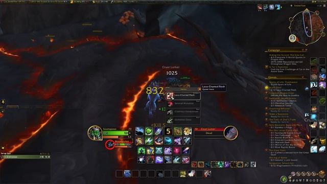 Wyrm Food Dragonflight quest смотреть онлайн