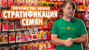 Стратификация семян - залог урожайности!