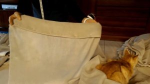 сшить шторы на люверсах своими руками